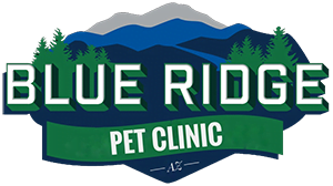 Veterinarian in Lakeside, AZ | Local Vet | Contact Our Animal Hospital
